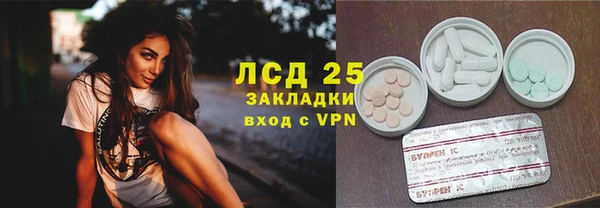 PSILOCYBIN Лагань