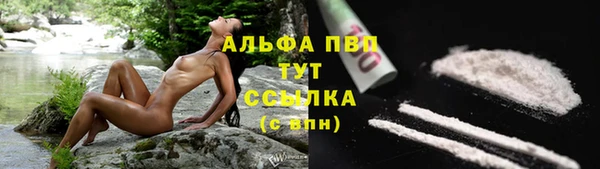 PSILOCYBIN Лагань