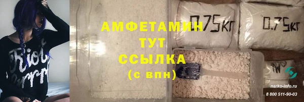 PSILOCYBIN Лагань