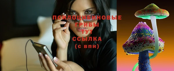 spice Ладушкин