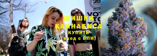 PSILOCYBIN Лагань